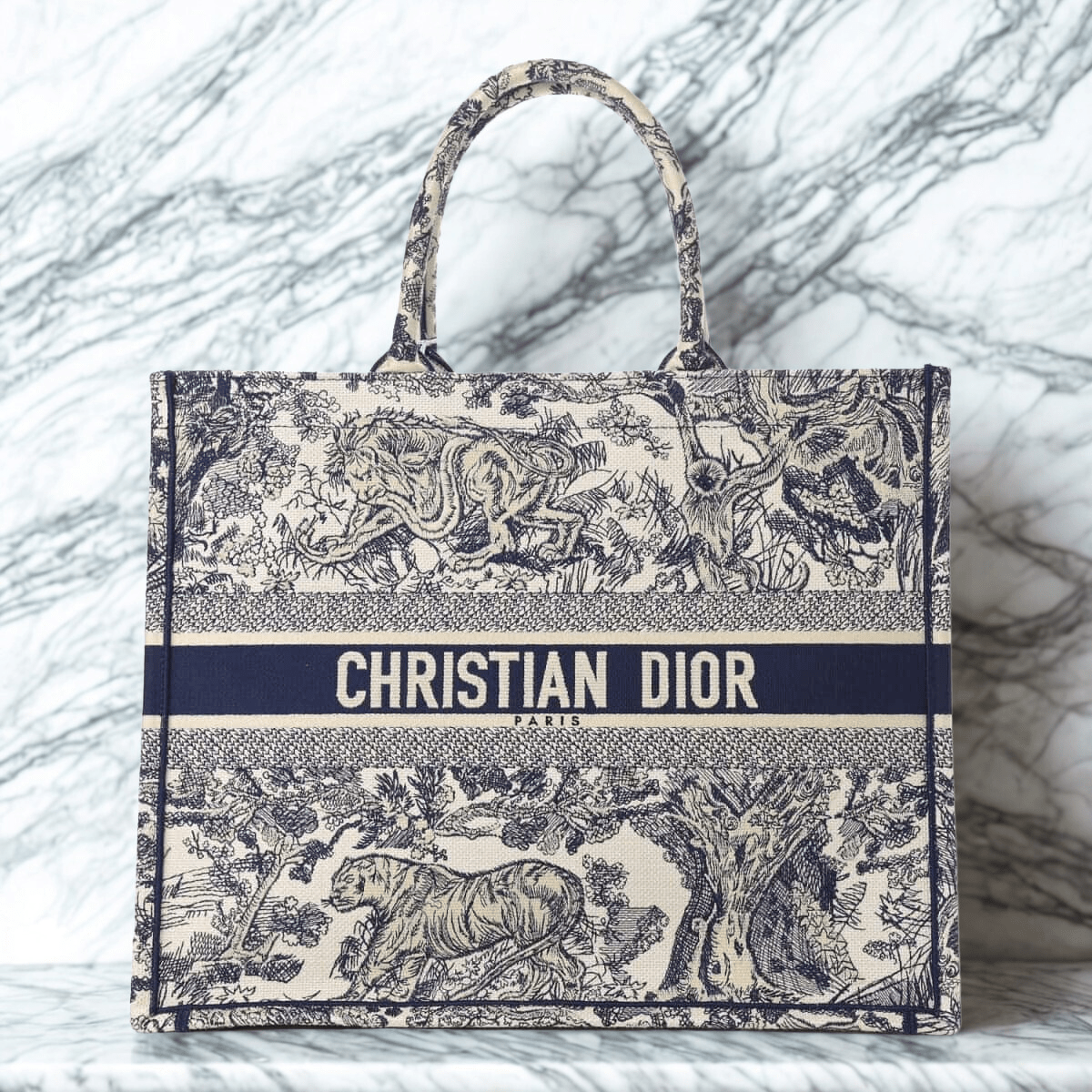 Dior Large Book Tote Tasche