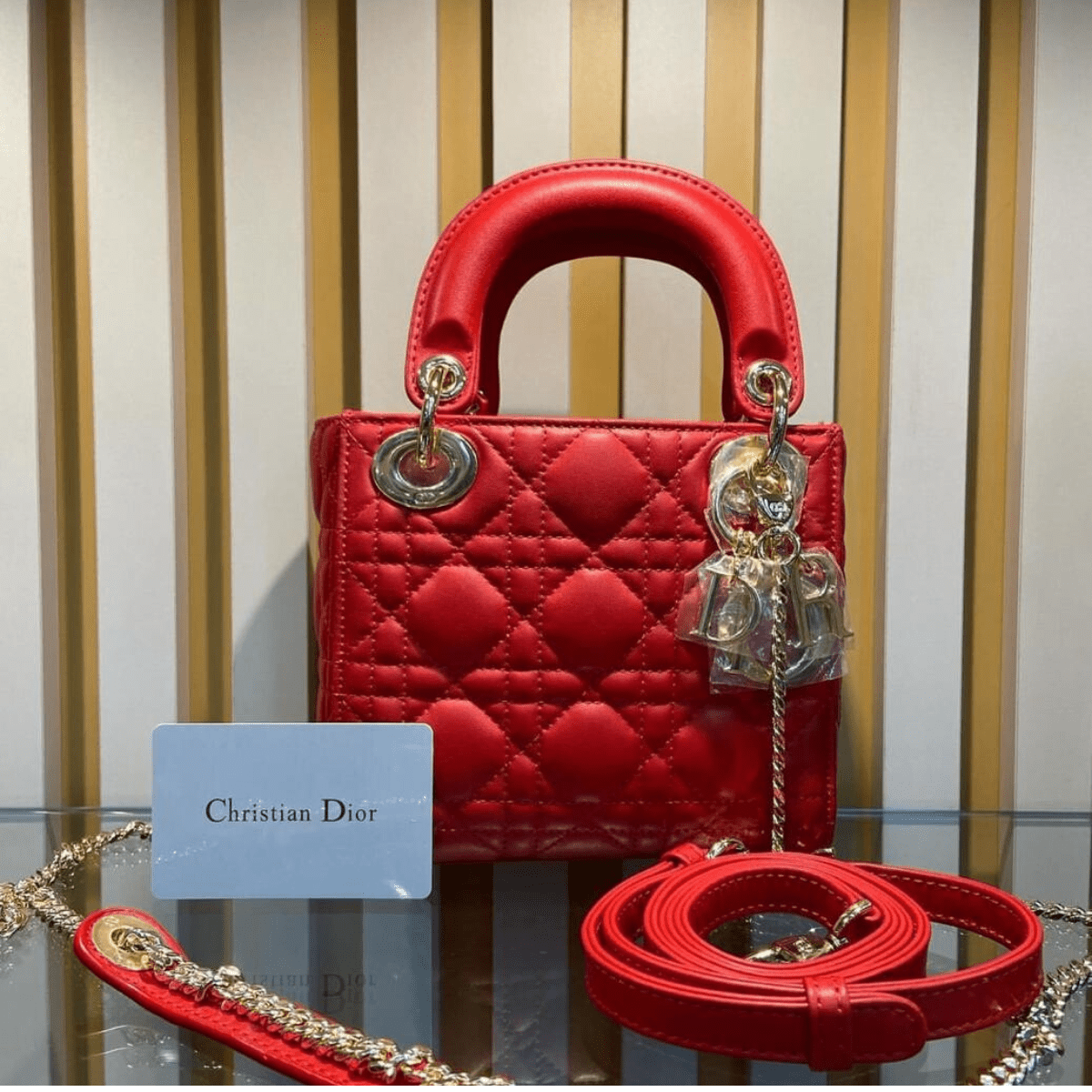 Mini Lady Dior Tasche